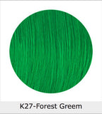 KISS EXPRESS SEMI PERMANENT HAIR COLOR K27 FOREST GREEN  3.5 FL. OZ.